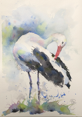 aquarel 38